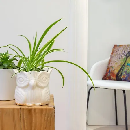 Sustraia - Local Rentss * סן סבסטיאן