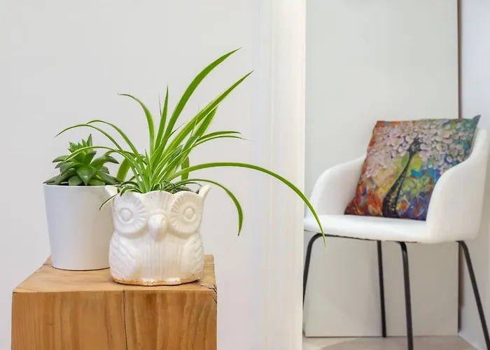 Sustraia - Local Rentss * San Sebastián