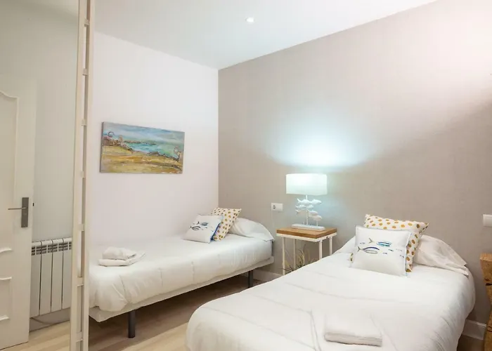 Sustraia - Local Rentss San Sebastian